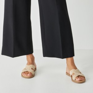 001-27113-42-930-mo1-1769501906