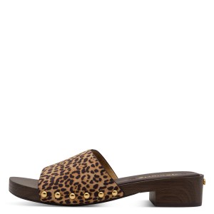 001-27118-46-33z-270-1769508592