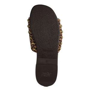 001-27118-46-33z-bot-1769508593