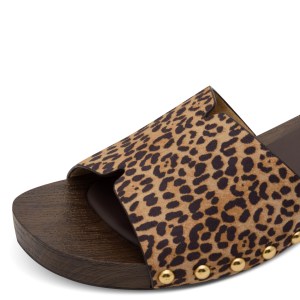 001-27118-46-33z-dt1-1769508594