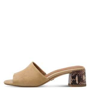 001-27204-42-445-270-1769531552