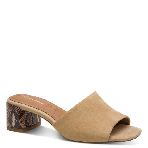 001-27204-42-445-300-1769531551