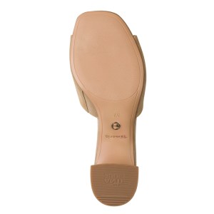 001-27204-42-445-bot-1769531553