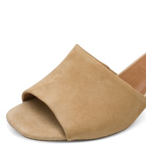 001-27204-42-445-dt1-1769531552