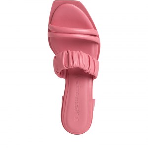 001-27210-28-548-top-1648719950