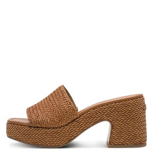 001-27232-46-305-270-1769589091