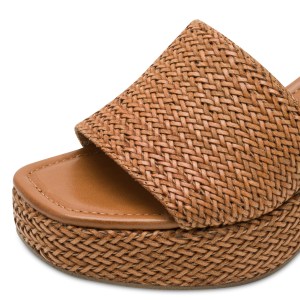 001-27232-46-305-dt1-1769589092