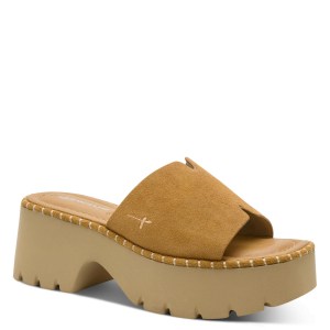 001-27235-46-310-300-1769589764