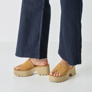 001-27235-46-310-mo1-1769589771