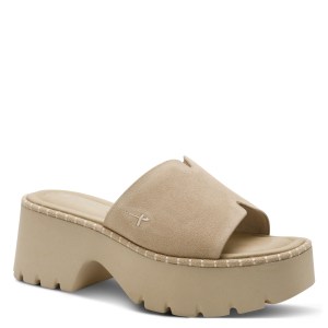 001-27235-46-341-300-1769590214