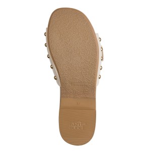 001-27315-46-418-bot-1769765306