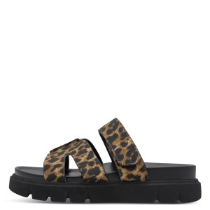 001-27412-46-360-270-1770018914