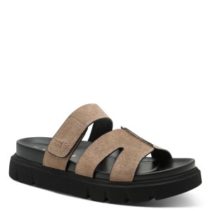 001-27413-46-341-300-1770019500