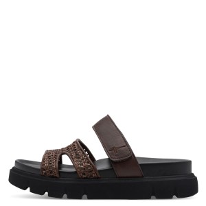 001-27422-46-304-270-1770107919