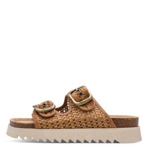 001-27516-46-305-270-1770110614