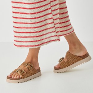 001-27516-46-305-mo1-1770110616