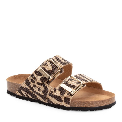 001-27534-44-320-300-1770199241