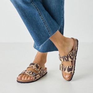 001-27534-44-320-mo1-1770199244