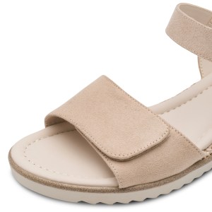 001-28118-44-251-dt1-1770200512