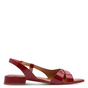 001-28123-46-575-090-1770204454