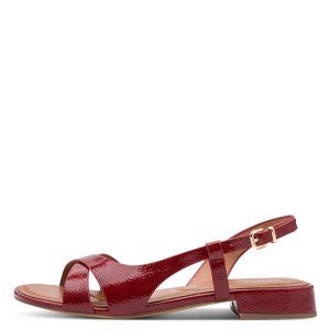 001-28123-46-575-270-1770204454