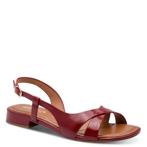 001-28123-46-575-300-1770204454