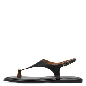 001-28142-46-003-270-1770277893