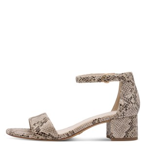 001-28201-42-483-270-1775714277