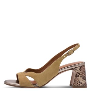 001-28218-46-445-270-1770375792