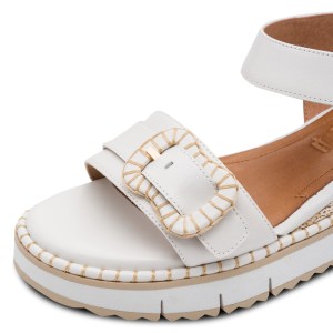 001-28223-46-100-dt1-1770802373