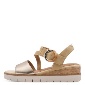 001-28232-46-445-270-1770803408