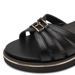 001-28242-46-001-dt1-1770807178