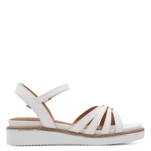 001-28242-46-100-090-1770807833