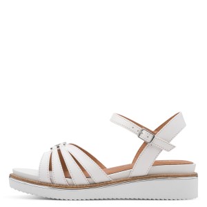 001-28242-46-100-270-1770807833