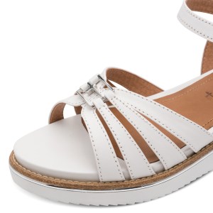 001-28242-46-100-dt1-1770807834