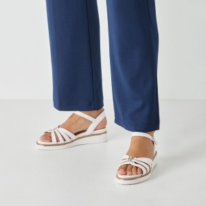 001-28242-46-100-mo1-1770807834