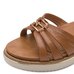 001-28242-46-305-dt1-1770970003