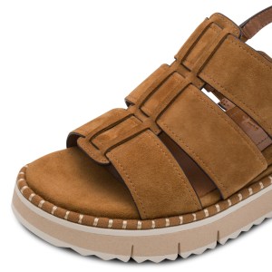 001-28243-46-305-dt1-1770971186