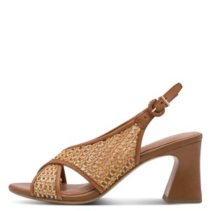 001-28315-46-392-270-1770976394