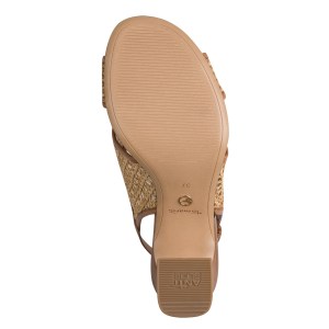 001-28315-46-392-bot-1770976392