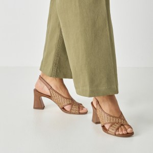 001-28315-46-392-mo1-1770976395