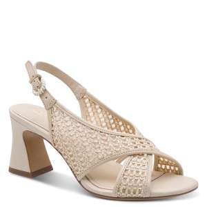 001-28315-46-418-300-1769162181