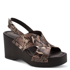 001-28332-46-386-300-1770978404