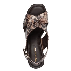 001-28332-46-386-top-1770978406