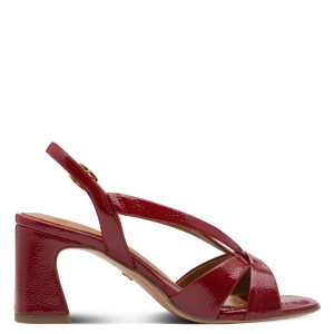 001-28339-46-559-090-1771229937