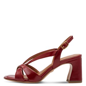 001-28339-46-559-270-1771229938