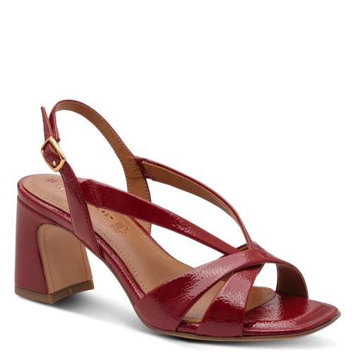 001-28339-46-559-300-1771229938