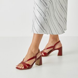 001-28339-46-559-mo1-1771229938