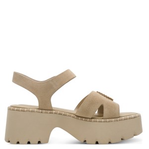 001-28377-46-341-090-1771238774