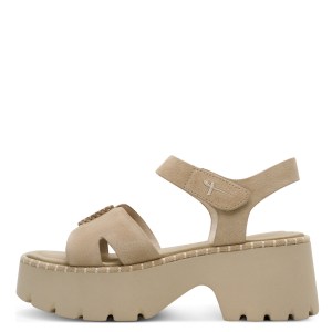 001-28377-46-341-270-1771238777